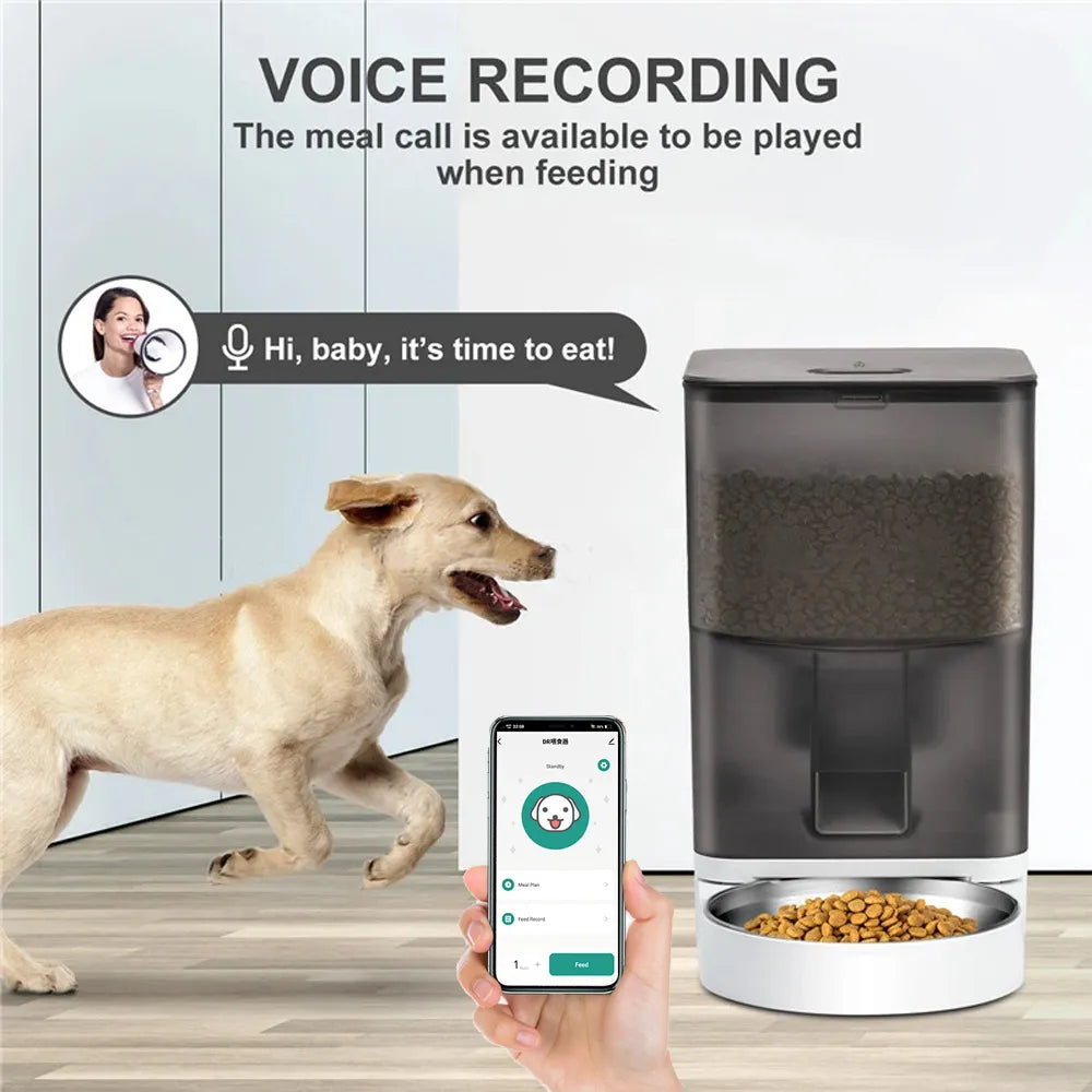 Bol automatique pour animal de compagnie APP contrôle synchronisation 4L bols électroniques pour animaux de compagnie chien distributeur de nourriture bouton alimentation chats mangeoire pour animal domestique Wifi