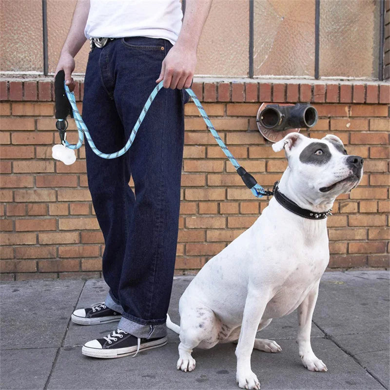 Laisse réfléchissante pour chien, solide, 150/200/300cm, longue lanière, corde de Traction pour la marche, pour chiots, petits, moyens et grands chiens