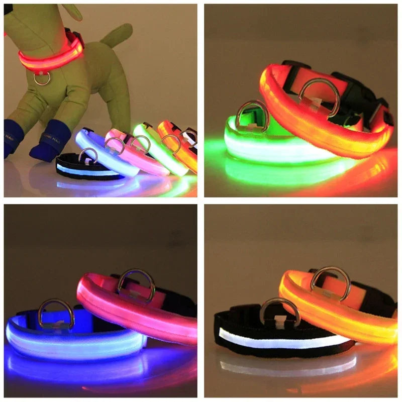 Collar de perro LED con carga USB, luz nocturna de seguridad para perros, Collar intermitente, collares fluorescentes, suministros para mascotas