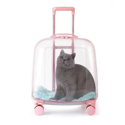 Sac à dos transparent pour animaux de compagnie, sac de transport pour chat, capsule portable, sac de transport pour animaux de compagnie 1 pièces