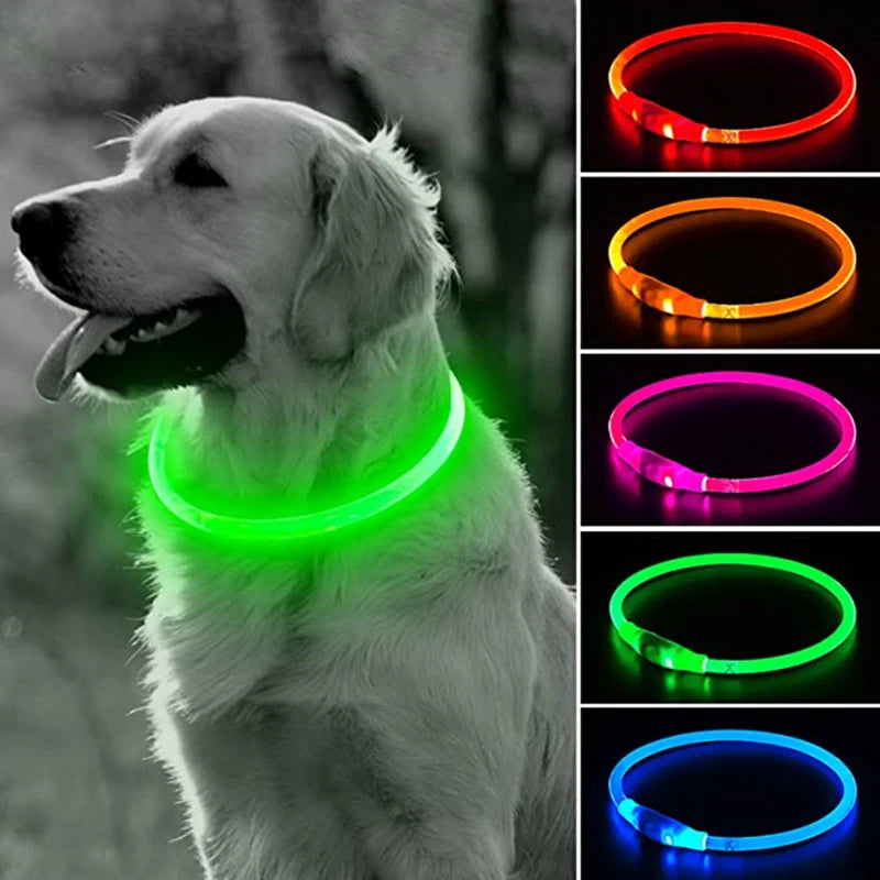 Collier Led lumineux pour chien et chat, Usb, 3 Modes, lumière Led brillante, prévention des pertes, collier LED pour chiens, accessoires pour animaux de compagnie