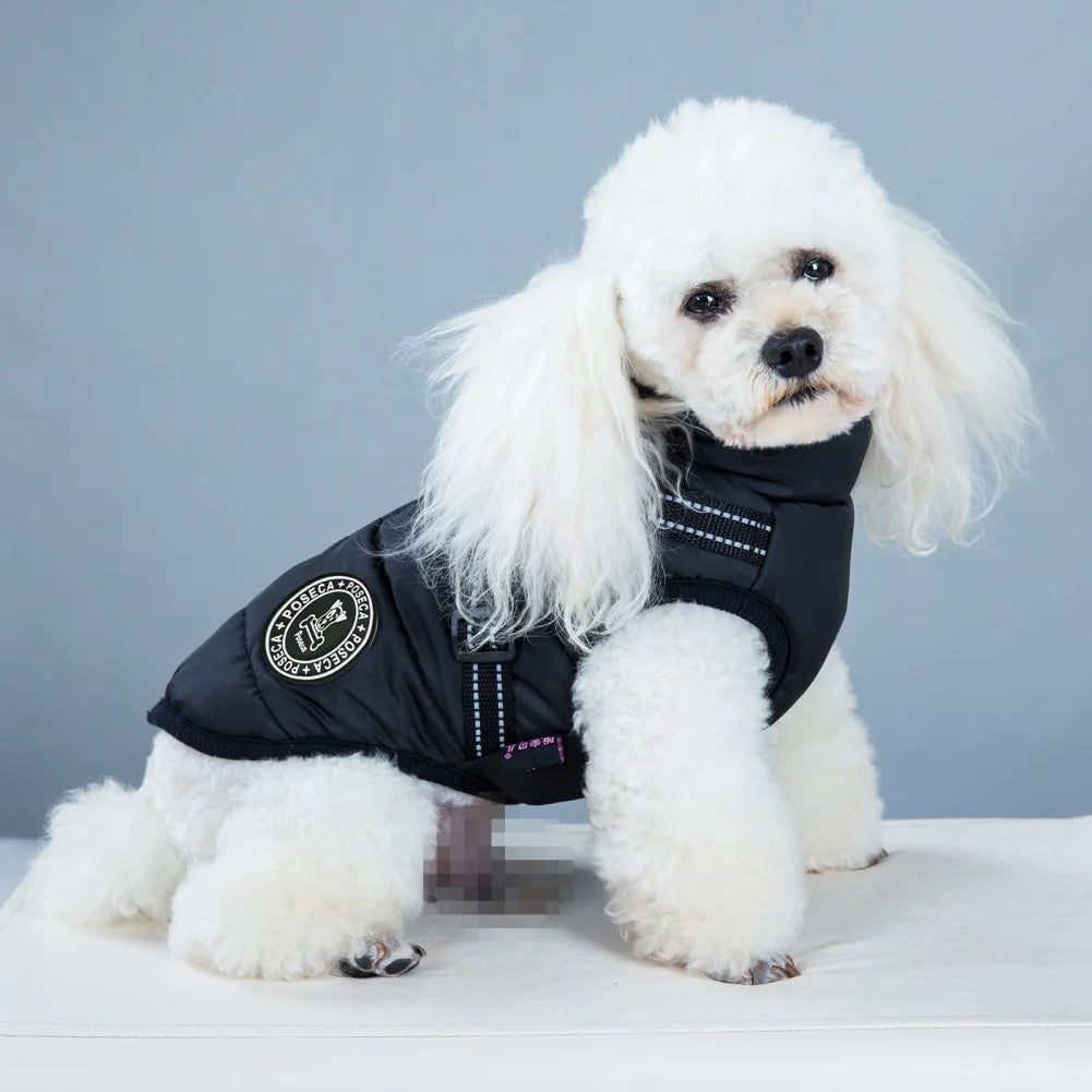 Abrigo para perro a prueba de viento para clima frío, chaqueta de invierno para exteriores para mascotas con anillo para correa, ropa cómoda de algodón, chaleco impermeable para perros grandes