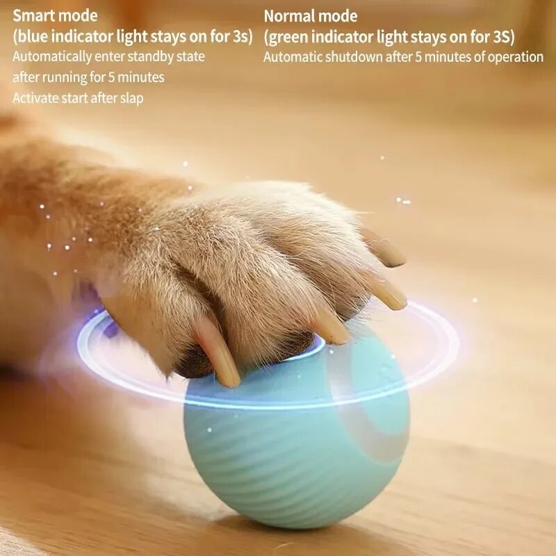 Nuevos juguetes para Perro inteligente, bola rodante automática, juguetes eléctricos para perros pequeños, divertidos juegos para cachorros con movimiento automático, juguetes interactivos para interiores para mascotas