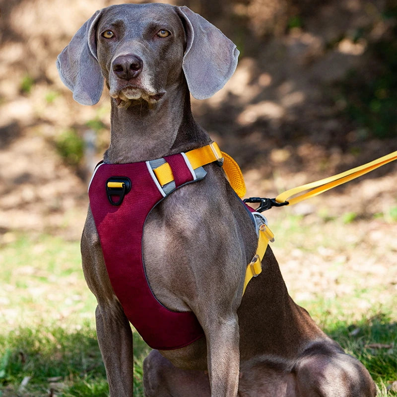 Productos para mascotas, accesorios para perros, arnés de nailon, ayuda para el comportamiento, Collar, correa para el pecho, correa acolchada para exteriores, chaleco pequeño y grande