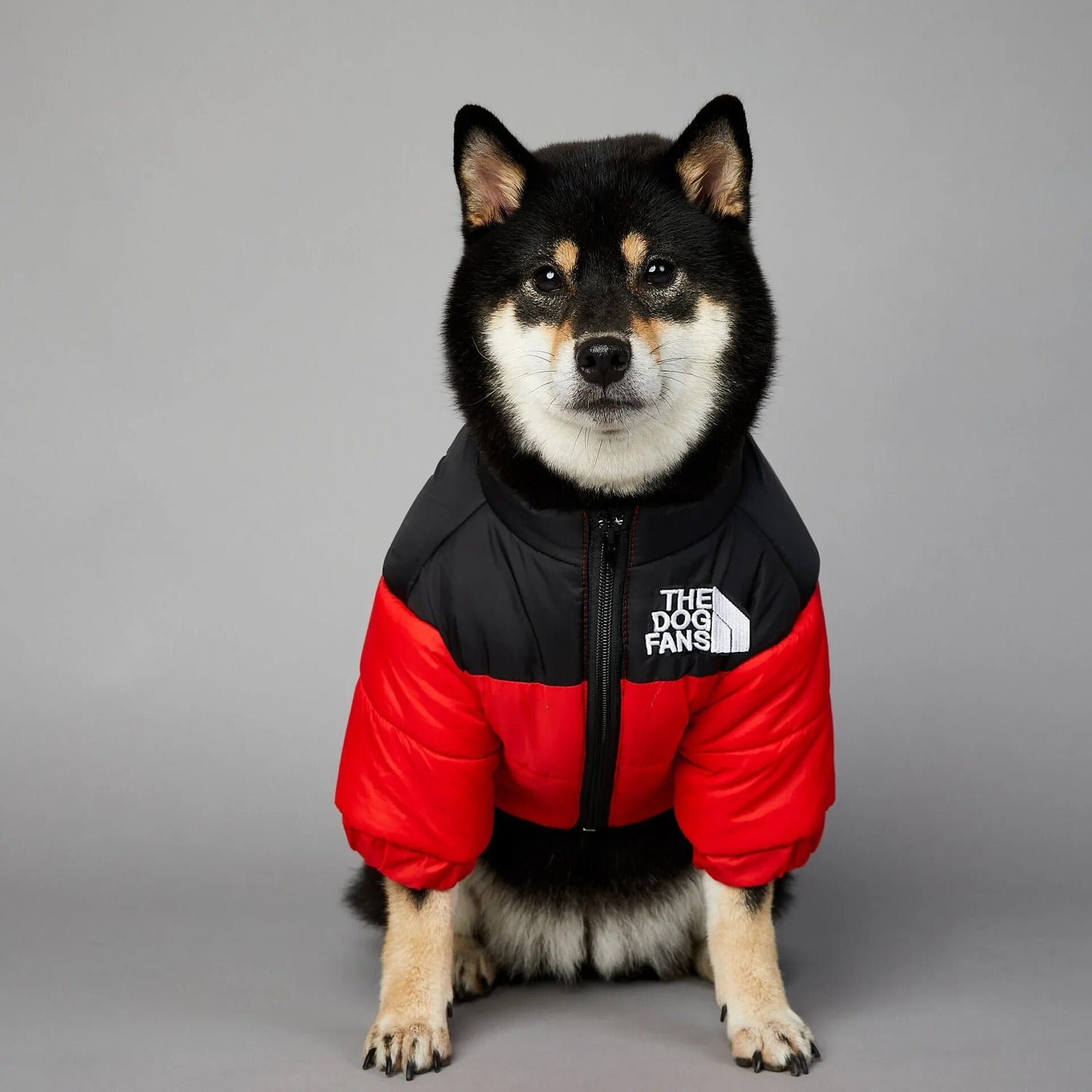 Chaqueta de invierno con cara de perro para perros pequeños y medianos, chaleco grueso y cálido para perros, abrigo para cachorros de Bulldog Francés, estilo de moda