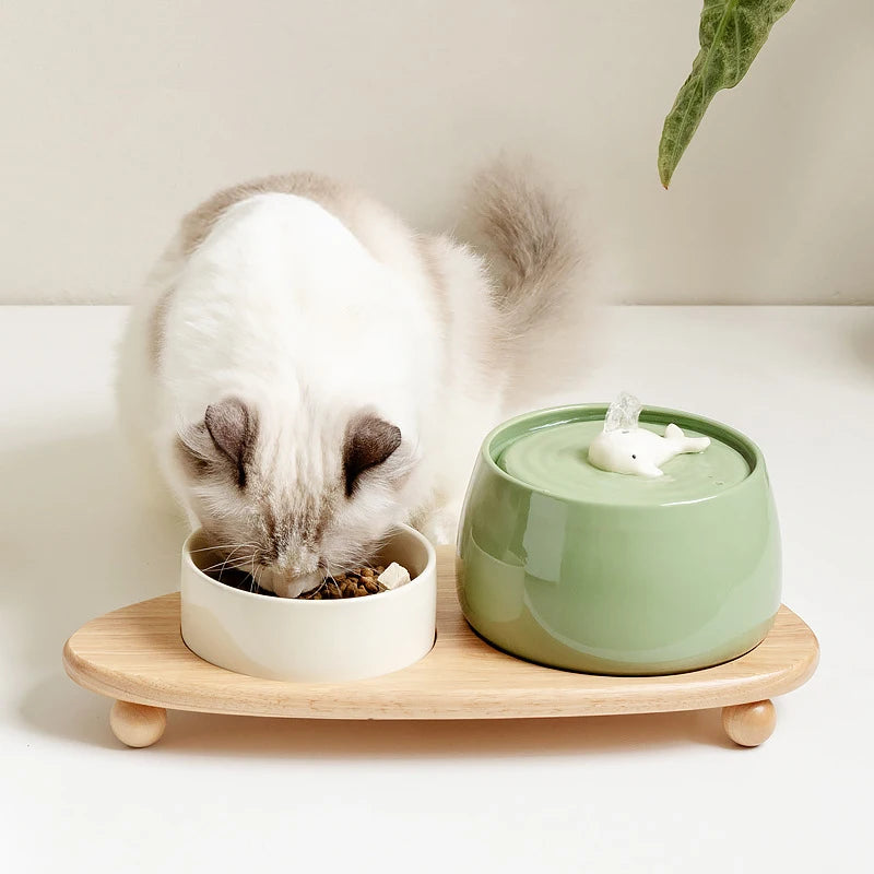 1300ml Cat Water Fountain Ceramic USB Charging Pet Drinker with Filter Small Dogs Water Dispenser with Wooden Stand Bowls