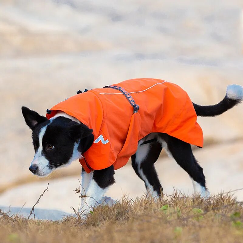 Ropa para mascotas cortavientos impermeable chaqueta desmontable ropa para perros patrones de moda abrigo impermeable suave para mascotas