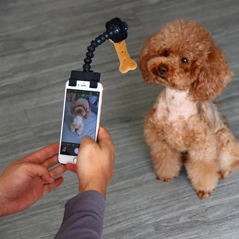 Palo de Selfie para mascotas, herramientas de fotografía para perros y gatos, concentrado de interacción para mascotas, suministros de entrenamiento, accesorios para perros