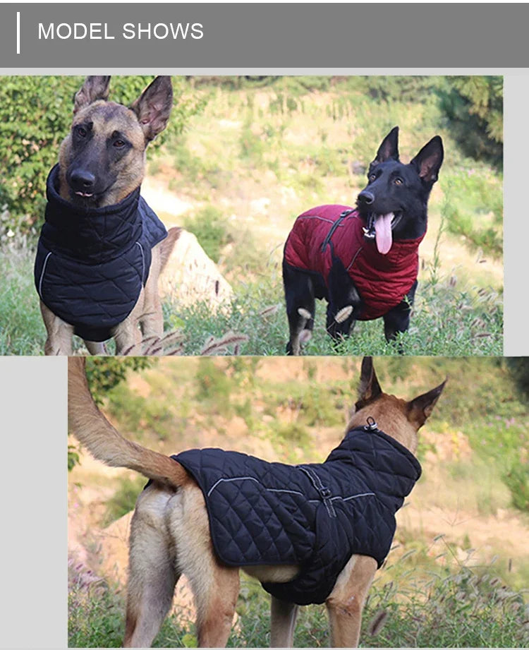 Chaqueta para exteriores para perros, abrigo reflectante impermeable para mascotas, chaleco de invierno cálido de algodón, ropa para perros grandes y medianos, Labrador