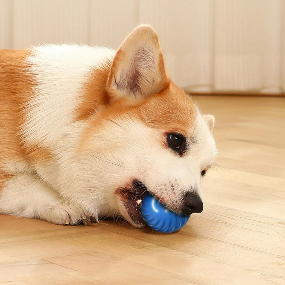 Pelota de juguete para perros inteligente, pelota rodante que rebota en movimiento automático, juguete electrónico interactivo para mascotas, regalo de cumpleaños para cachorros, producto para perros y gatos