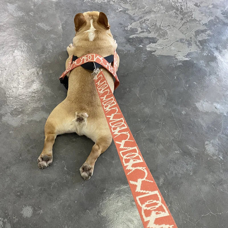 Nuevo conjunto de correa y arnés para perros, arnés reflectante ajustable para cachorros, chaleco para caminar al aire libre, arnés para perros pequeños y medianos, accesorios