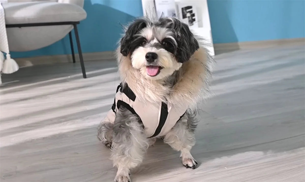 Ropa de invierno para perros, abrigo Parka con Cuello de piel de lujo para perros pequeños, chaqueta cálida acolchada impermeable para mascotas con arnés con cremallera