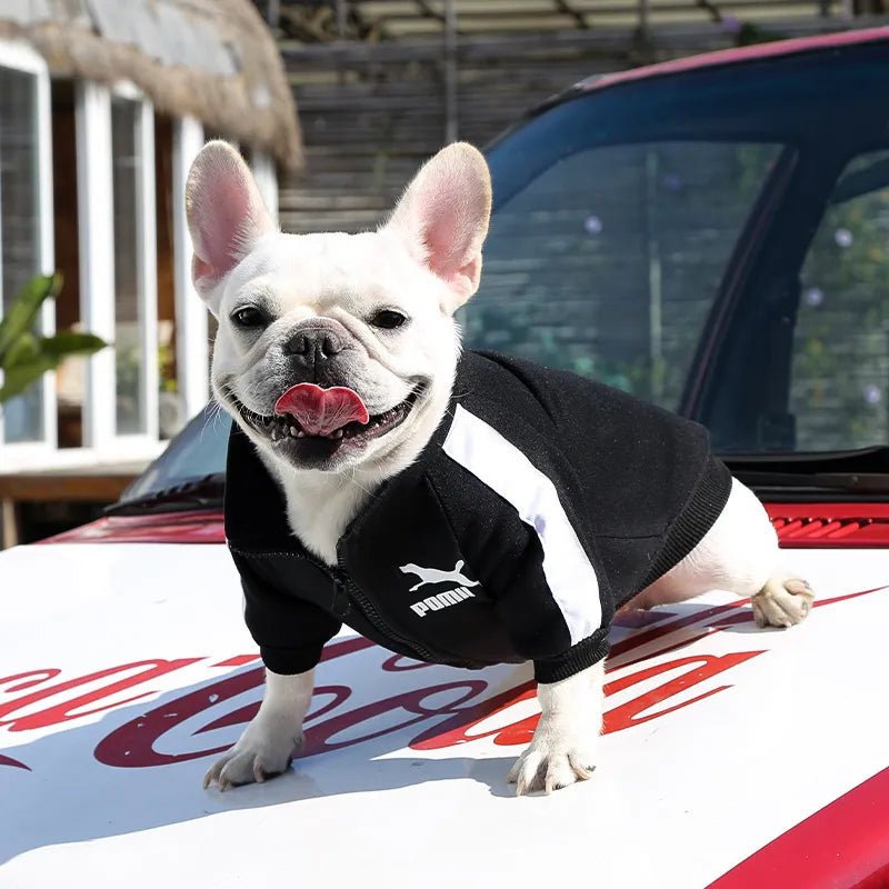 Chaqueta de béisbol para perros, ropa de invierno para perros pequeños y medianos, chaleco para cachorros, sudadera para Bulldog Francés, abrigo para Pug Chihuahua, estilo de moda