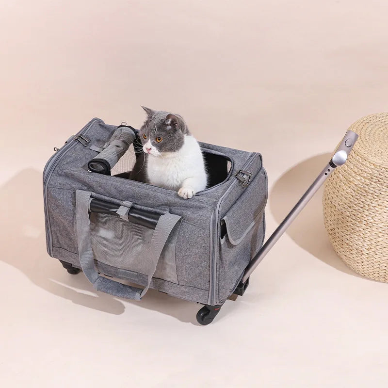 Boîtier de chariot Portable pour animaux de compagnie, roue universelle détachable, respirant et pliable, fournitures de transport pour chat, sac de voyage pour chiot de grande capacité