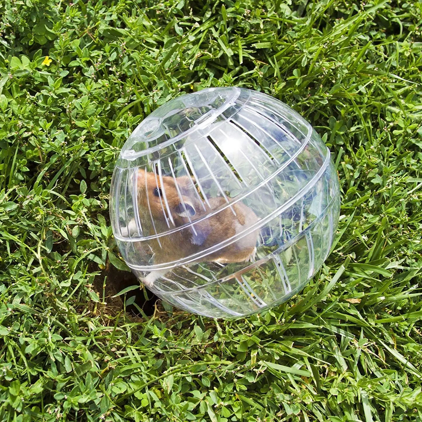 Pelota para deportes al aire libre, Grounder, rata, mascota pequeña, roedores, ratones, bolas, rata, 10cm, ejercicio, hámster, Gerbil, juguetes para correr