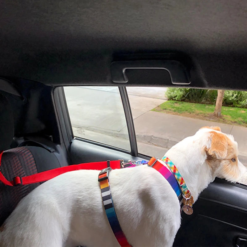 Ceinture de sécurité de voiture deux en un pour animaux de compagnie, couleur unie, laisse en plomb en Nylon, ceinture de sécurité pour siège arrière, collier de harnais réglable pour chiens, accessoires pour animaux de compagnie