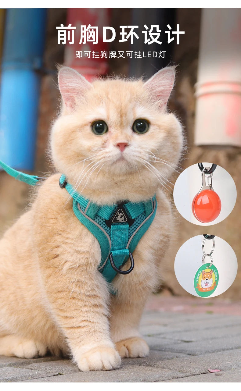 Kitten Accessories Cat Collar Collar for Cats Haulage Rope Prevent Shake Off for Walking Cats Strap Chain Adjustable Cat Walker