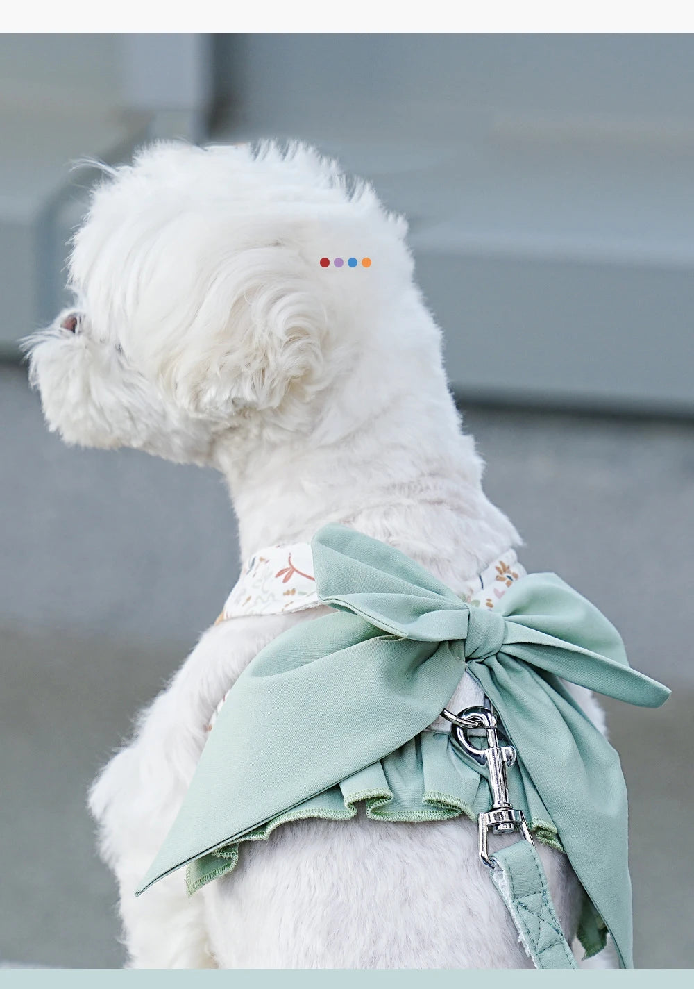 Vestido de arnés para perros pequeños con lazo grande y volantes, conjunto de arnés y correa para cachorros, chaleco con arnés lindo para perros y accesorios para Yorkie Chihuahua