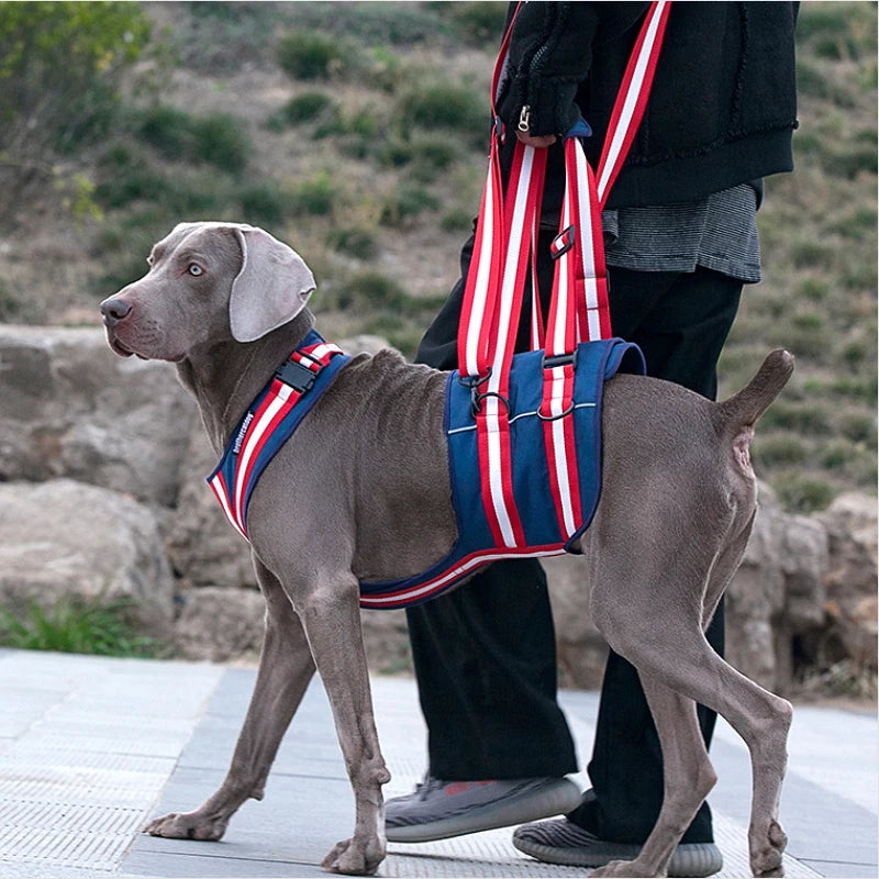 Arnés de asistencia ajustable, soporte para eslinga de elevación, correa para mascotas, accesorios de tracción para perros mayores, correa para entrenamiento y ayuda para el comportamiento