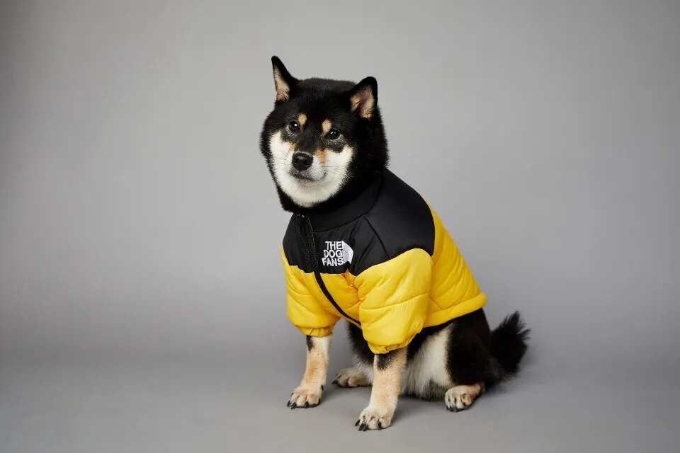 Chaqueta de invierno con cara de perro para perros pequeños y medianos, chaleco grueso y cálido para perros, abrigo para cachorros de Bulldog Francés, estilo de moda