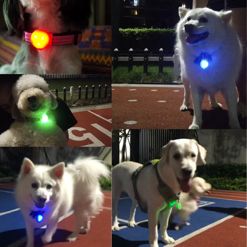 Collar para perro y gato, colgante luminoso LED brillante para caminar por la noche, Collar brillante con luces de seguridad, accesorios para mascotas