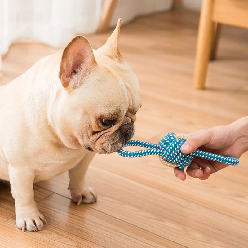 Mini juguetes interactivos de cuerda de algodón para perros, pelota para perros, accesorios, cepillo de dientes, juguete para masticar cachorros, juguete para perros grandes y pequeños, juguete para perros