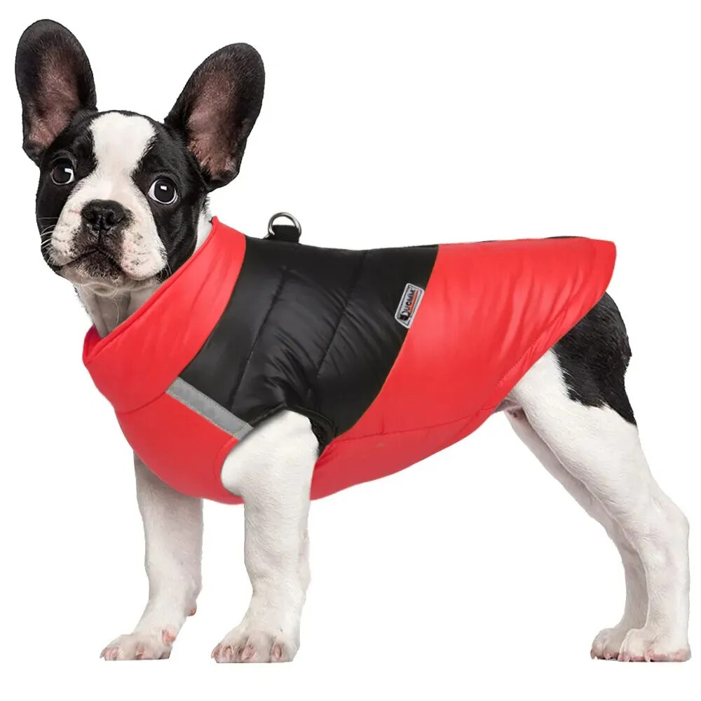 Ropa cálida de invierno para perros de compañía, chaleco para mascotas, chaqueta con cremallera, abrigos impermeables para perros pequeños, medianos y grandes, Bulldog Francés, Labrador