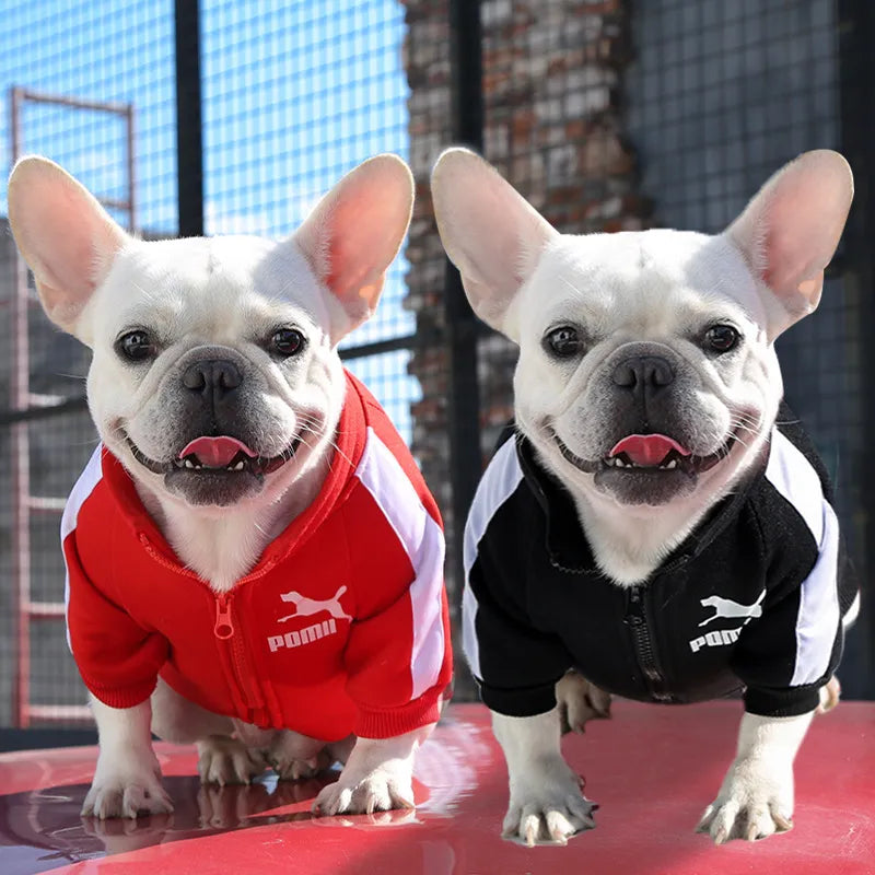 Chaqueta de béisbol para perros, ropa de invierno para perros pequeños y medianos, chaleco para cachorros, sudadera para Bulldog Francés, abrigo para Pug Chihuahua, estilo de moda