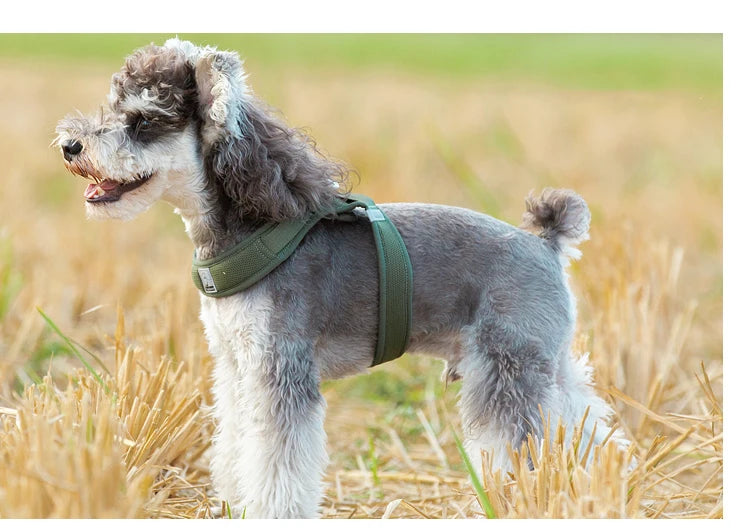 Portabebés para perros pequeños, hebilla en D de aluminio, gancho para caminar y bucle, accesorios portátiles para ponerse y quitarse