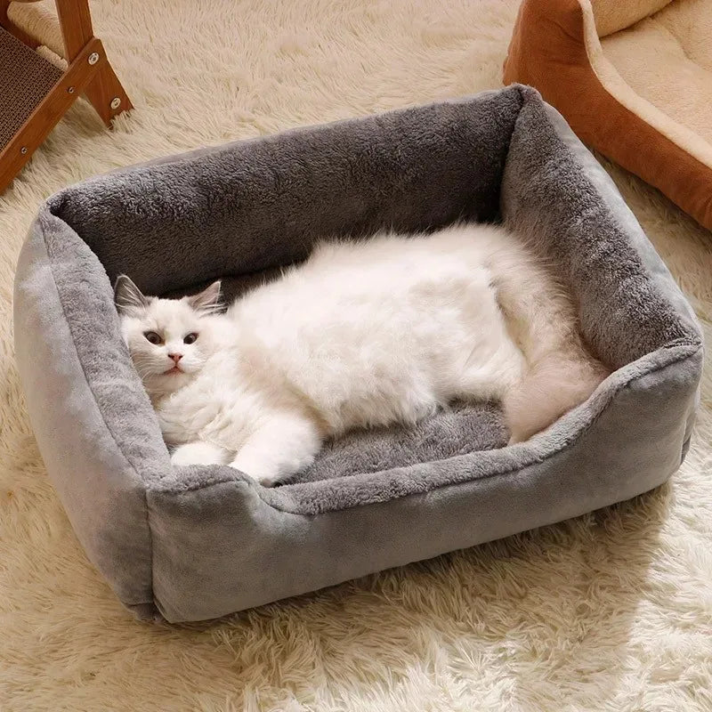 Bed for Cats Pet Products Goods Accessories Dog All Houses Supplies Cushions Kitten Things Accessory Habitats Basket House Beds