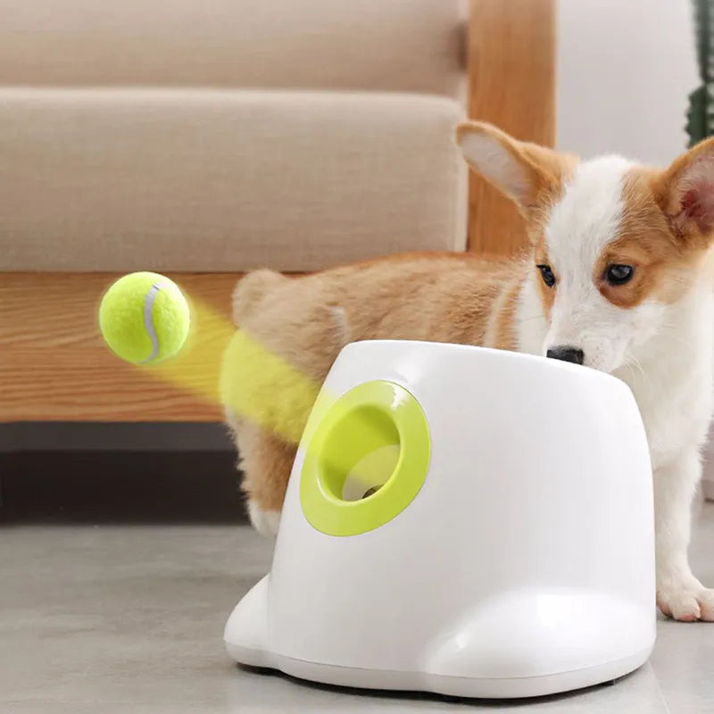 Catapulta para perros lanzador de pelotas, juguete para perros, lanzador de pelotas de tenis, pelota para saltar, juguetes Pitbull, máquina de pelotas de tenis, lanzamiento automático para mascotas