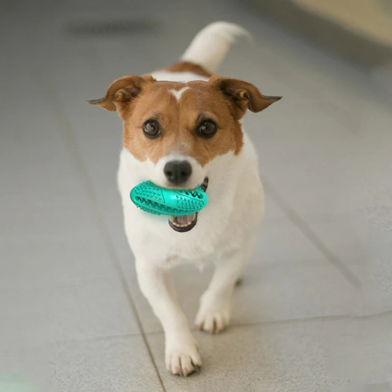 Juguetes para perros, pelota interactiva de goma Natural, juguete masticable para cachorros, bola dispensadora de comida, resistente a mordeduras, dientes limpios, pelotas de juego para mascotas