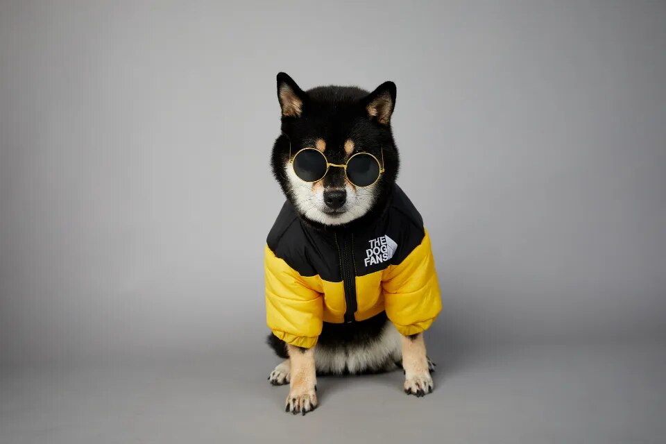 Chaqueta de invierno con cara de perro para perros pequeños y medianos, chaleco grueso y cálido para perros, abrigo para cachorros de Bulldog Francés, estilo de moda