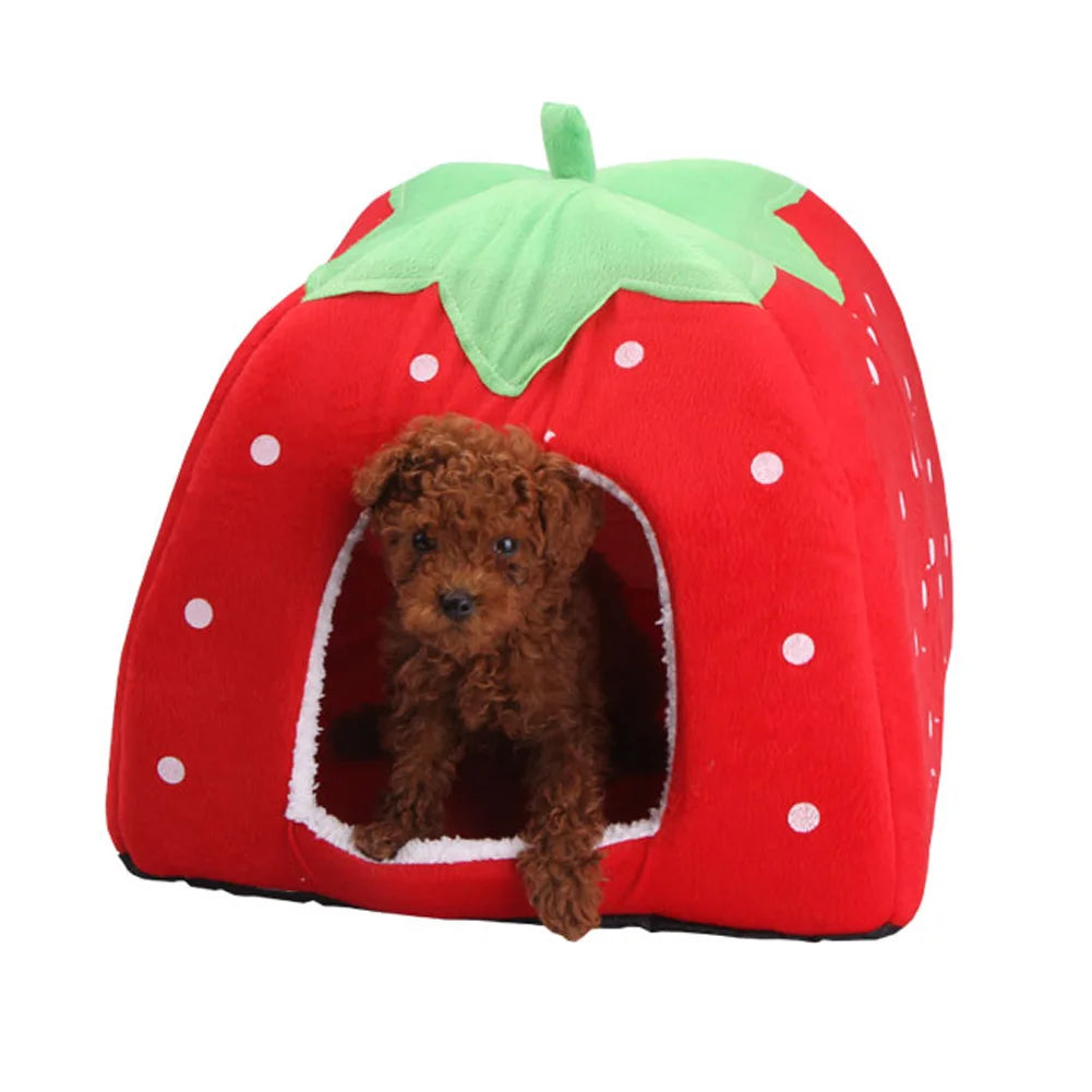 Doux fraise animal de compagnie chien chat maison chenil chien mode coussin panier tente pour animaux de compagnie chien maison petits chiens chaton lit chat maison