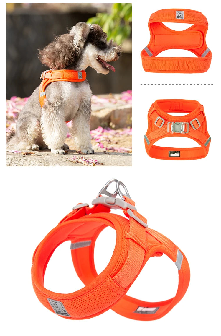 Portabebés para perros pequeños, hebilla en D de aluminio, gancho para caminar y bucle, accesorios portátiles para ponerse y quitarse