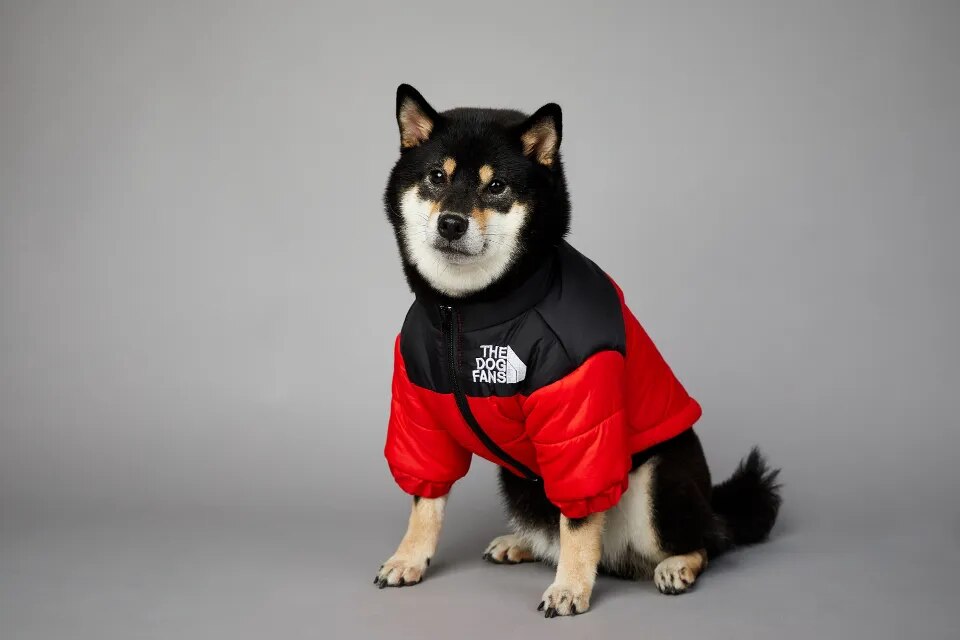 Chaqueta de invierno con cara de perro para perros pequeños y medianos, chaleco grueso y cálido para perros, abrigo para cachorros de Bulldog Francés, estilo de moda