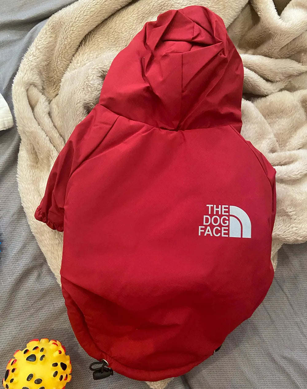 Otoño Invierno perro mascota impermeable abrigo cálido chaqueta con capucha de algodón la cara del perro perros pequeños gato reflectante ropa para mascotas abrigo de invierno