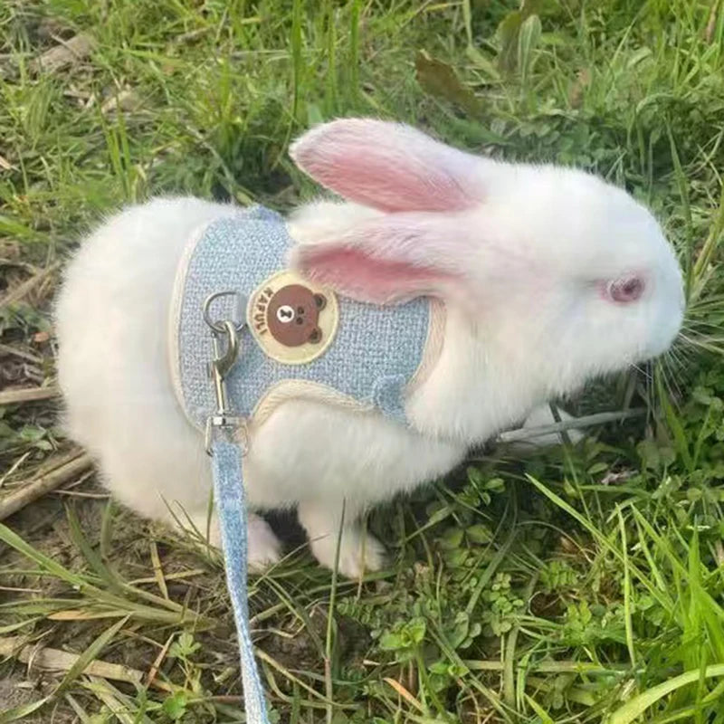 El más nuevo conjunto de arnés y correa de conejo bonito, accesorios para mascotas, chaleco, arneses, correas de conejo para caminar al aire libre, suministros para mascotas