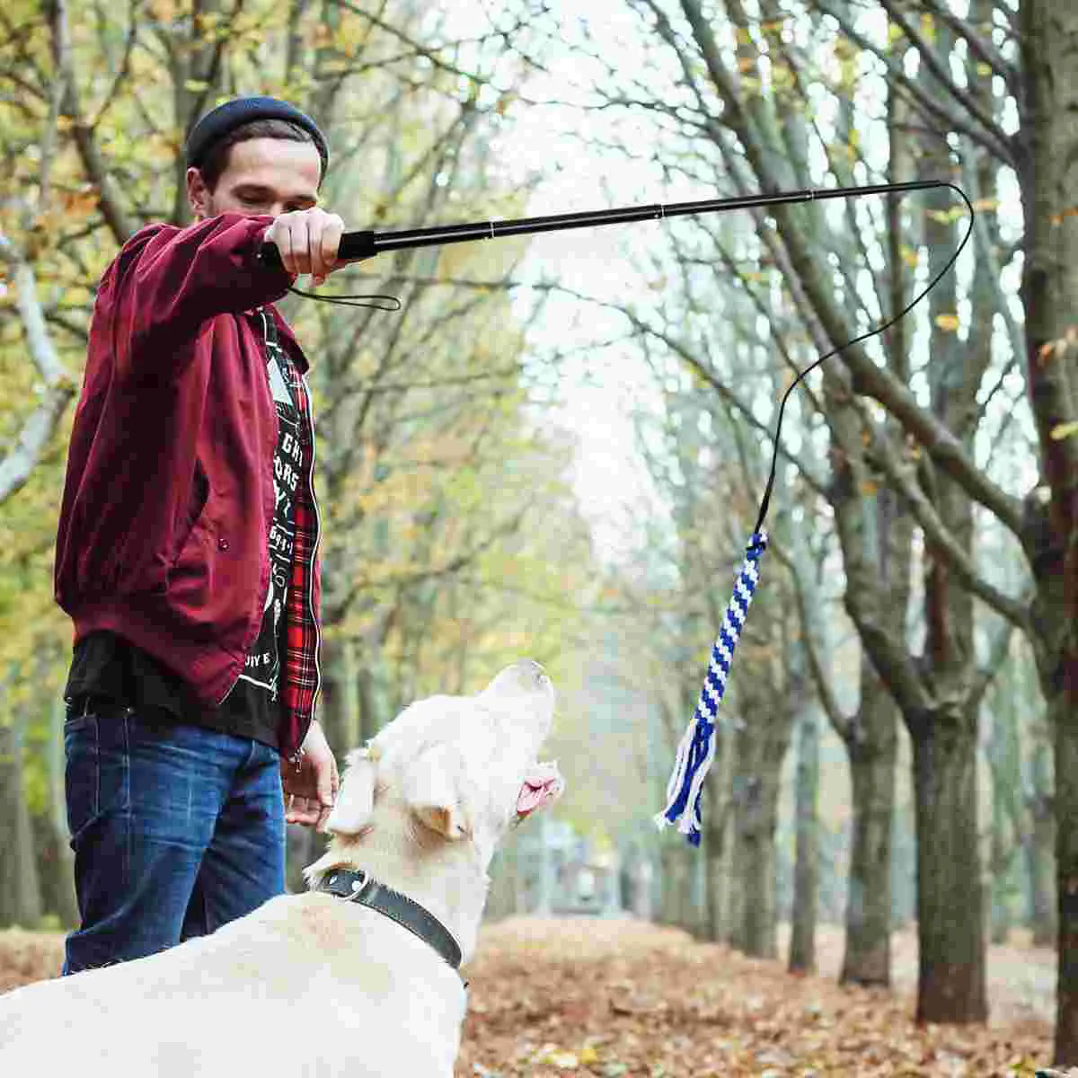 UEETEK Bâton interactif rétractable pour chien - Poteau de flirt extensible - Teaser et exercice de queue amusant pour animaux de compagnie (noir, taille L)