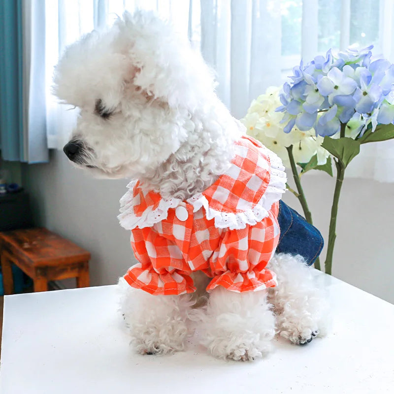 Vêtements pour animaux de compagnie, 1 pièce, coupe cintrée, chemise en dentelle à carreaux Orange, bretelles en Denim, robe de princesse pour petits et moyens chiens, printemps et automne