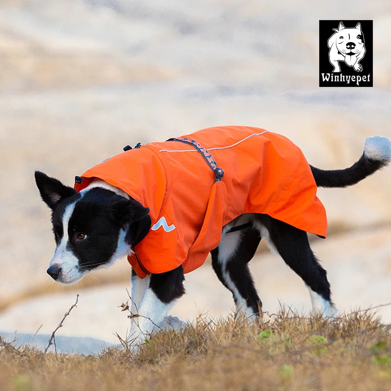 Arnés para exteriores para perros, transpirable, antideslizante, cálido, impermeable, para viajar