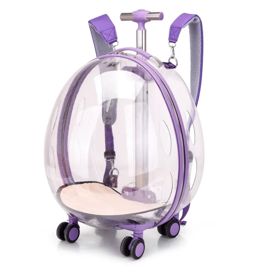 Capsule spatiale pour chats, sac à bandoulière Transparent, valise de sortie, porte-chat, poussette Kawaii, Mochila Para Perro, accessoires pour animaux de compagnie