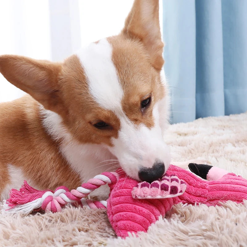 Jouets grinçants en forme d'animal, jouet en peluche pour chien, mignon, résistant aux morsures, en velours côtelé, pour petits et grands chiens, chiot, accessoires pour animaux de compagnie