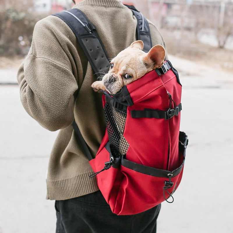 Outdoor Travel Puppy Medium Dog Backpack for Small Dogs Breathable Walking French Bulldog Carrier Bags Pet Supplies