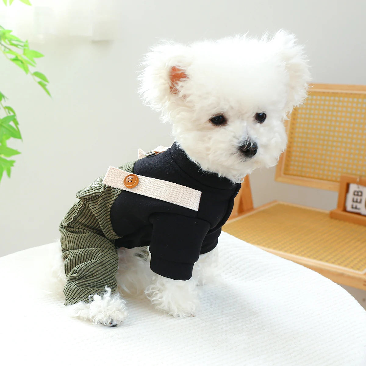 1PC Pet Apparel Dog Spring and Autumn Army Green Best Friend Four Legged Strap Pants With Drawstring Buckle For Small Medium Dog