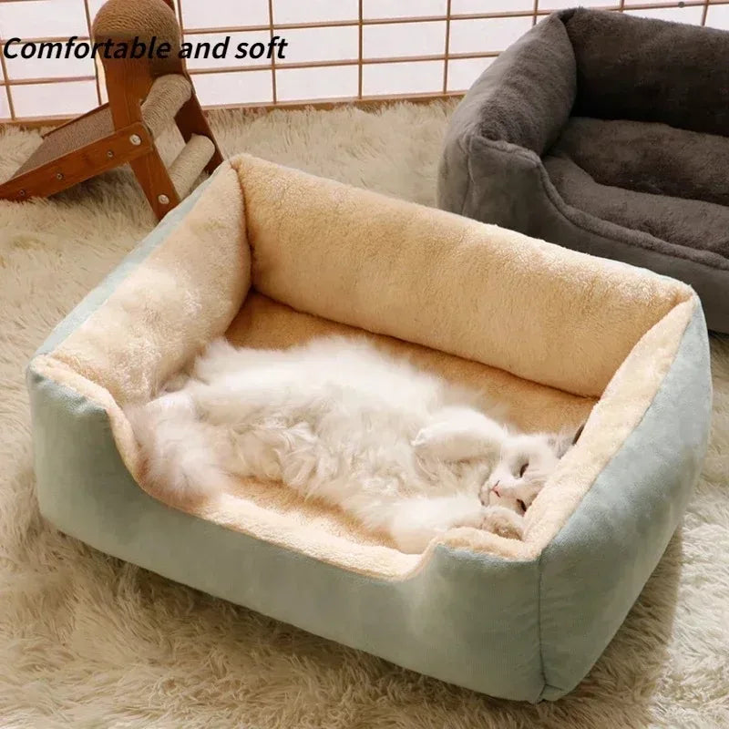 Bed for Cats Pet Products Goods Accessories Dog All Houses Supplies Cushions Kitten Things Accessory Habitats Basket House Beds