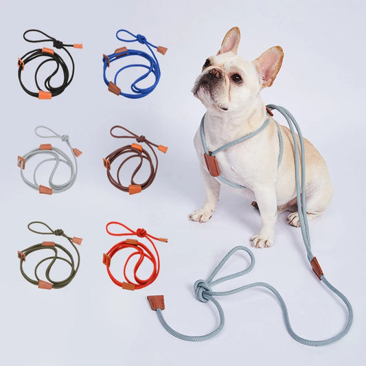 Laisses de collier en Nylon pour chien, harnais tout-en-un, sangle de poitrine anti-Explosion, fournitures réglables pour animaux de compagnie, accessoires de corde de marche pour chien