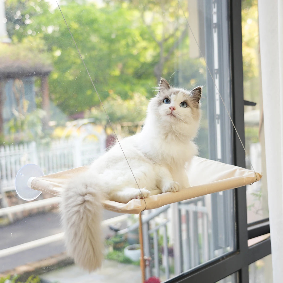 Cute Pet Hanging Beds Bearing 20kg Cat Sunny Window Seat Mount Pet Cat Hammock Comfortable Cat Pet Bed Shelf Seat Beds