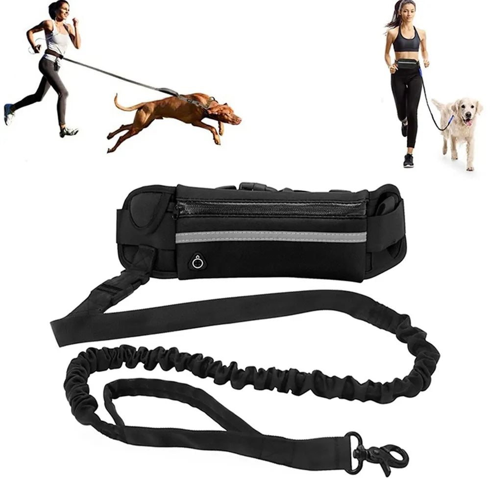 Laisse mains libres pour chien, pour la course, la marche, réfléchissante, avec sac de taille, ceinture élastique rétractable, corde de Traction pour chien, produits pour animaux de compagnie