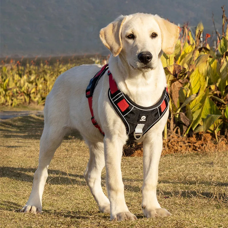 Harnais réglable réfléchissant pour chien, entraînement de sécurité, gilet de poitrine de marche, collier pour bouledogue français, accessoires pour animaux de compagnie